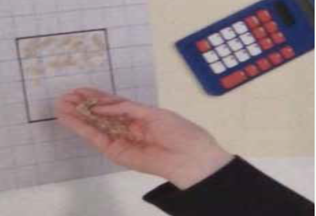 نشاط علوم كثافة الجماعة الحيوية